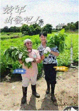 晟天电影网华中区域电影